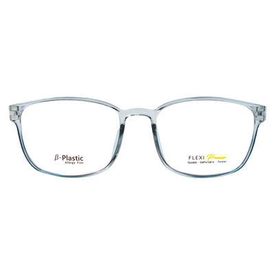 Flexi Eyeglasses F13 (Clear Light Cool Grey) - Raylite Optical Store